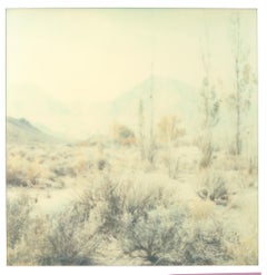 Wastelands - Polaroid, Expired. Contemporary, Color