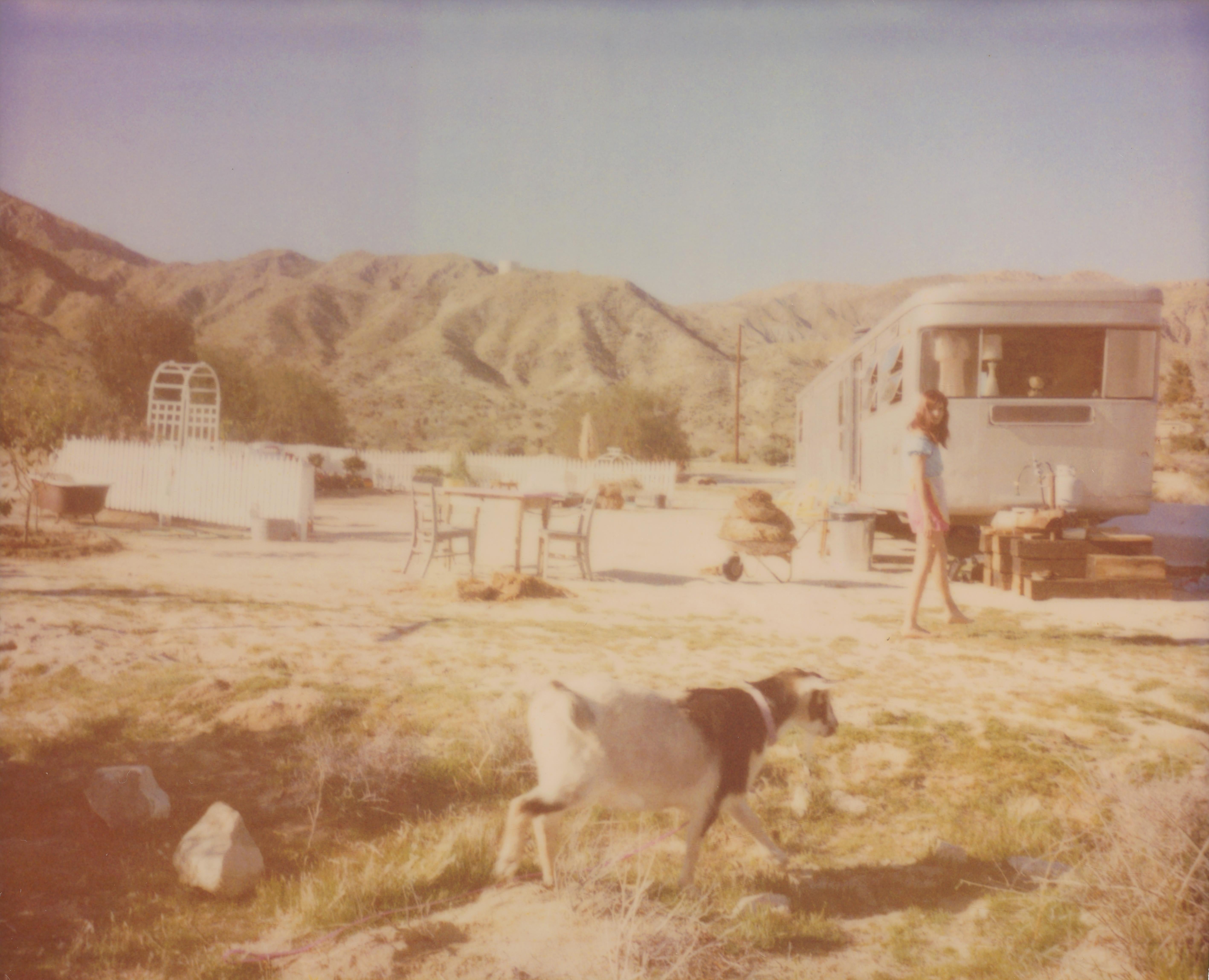 Stefanie Schneider Portrait Photograph - When I was with my goat (The Girl behind the White Picket Fence) - Polaroid