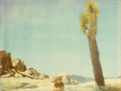 White Tank (My own Private Travel Diary) - analog