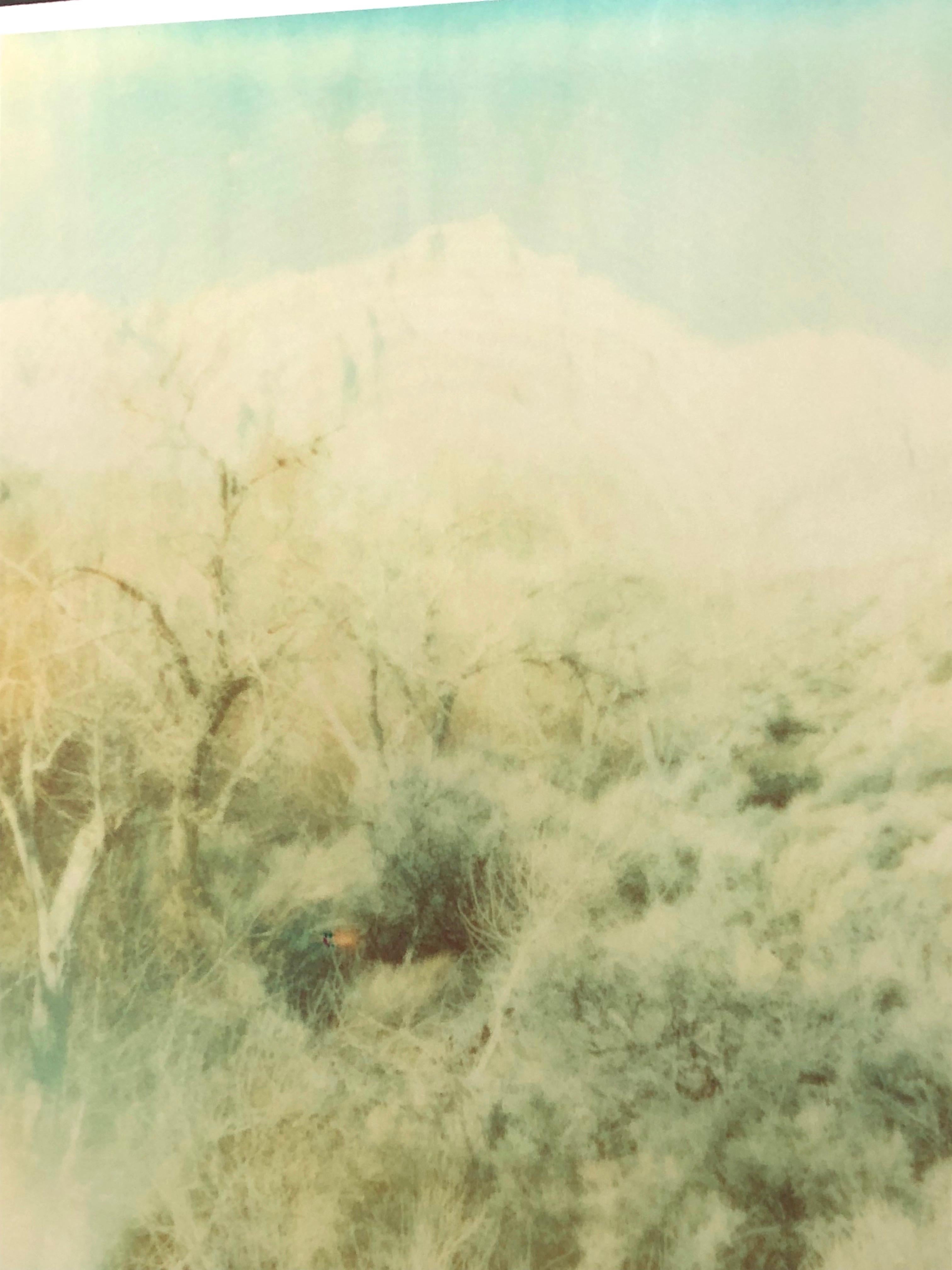 Wind Swept (Wastelands) - diptych - Contemporary Photograph by Stefanie Schneider