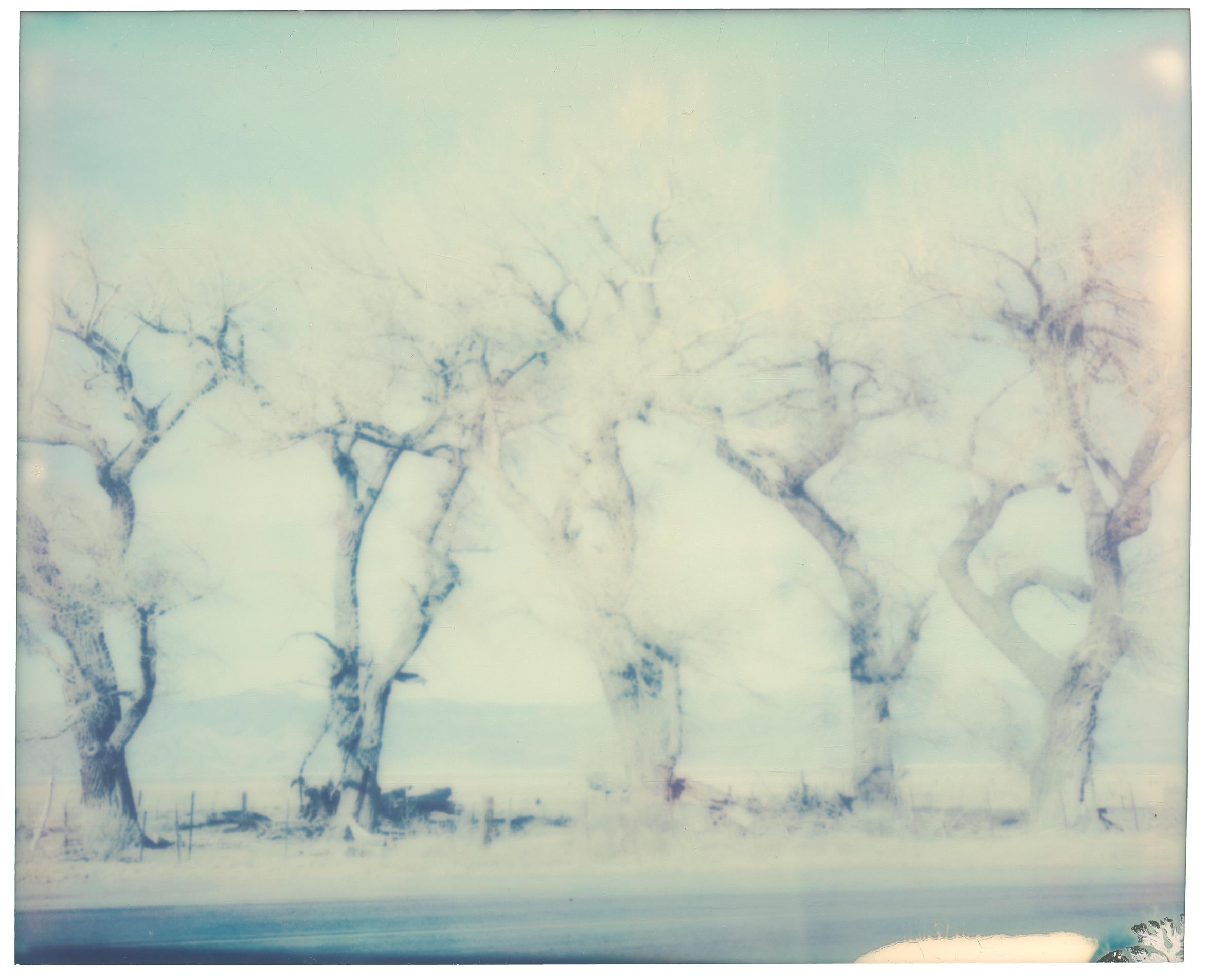 Stefanie Schneider Color Photograph - Winter (American Depression) - Contemporary, Polaroid, Landscape