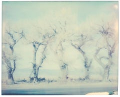 Winter (American Depression) - Contemporary, Polaroid, Landscape