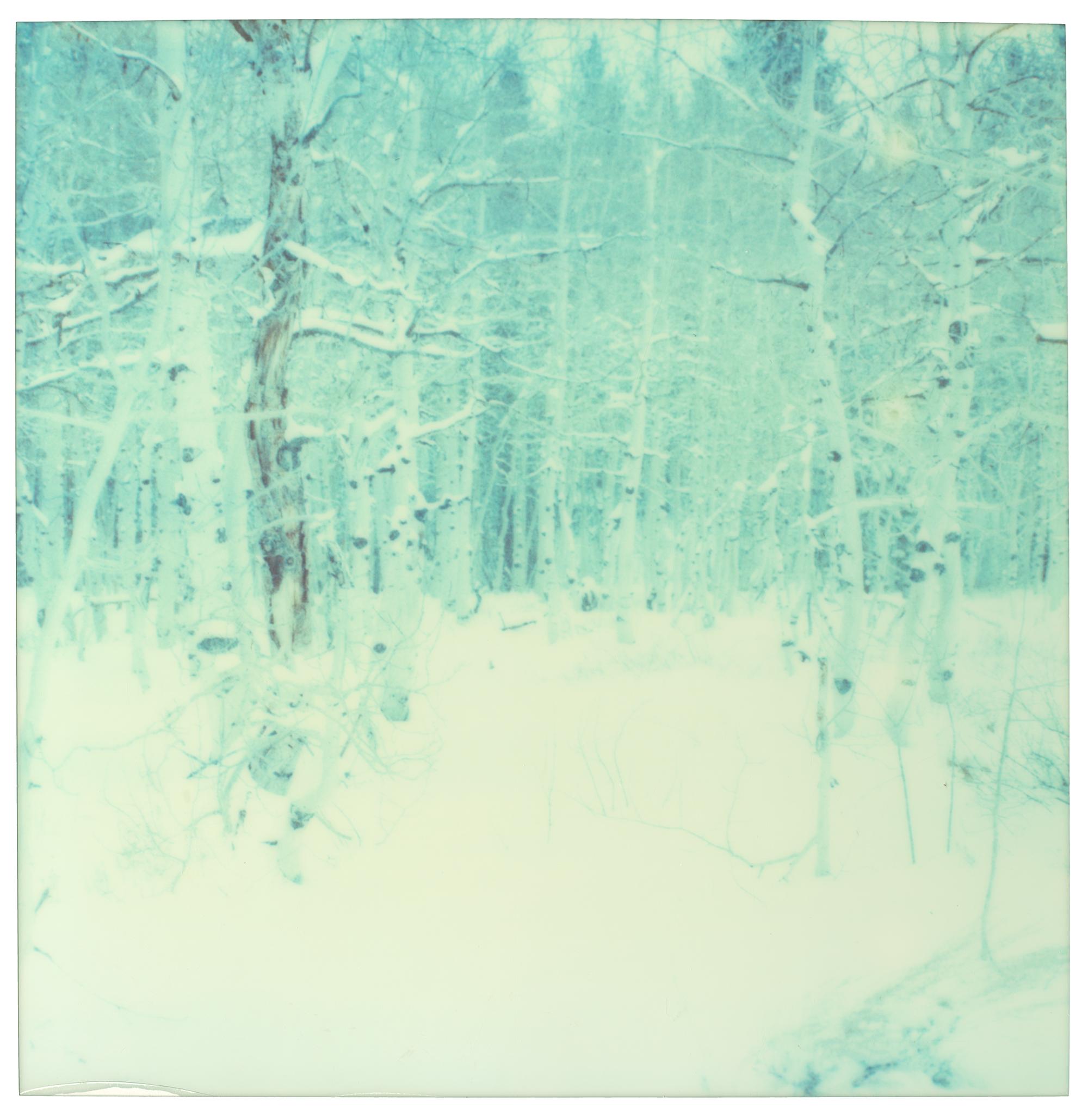 Stefanie Schneider Color Photograph – Winter – Zeitgenössisch, Landschaft, Polaroid, Fotografie, abgelaufen, Schnee, Hölzer