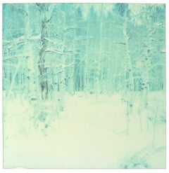 Winter - Zeitgenössisch, Landschaft, Polaroid, Fotografie, abgelaufen, Schnee, Hölzer