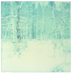 Winter (Wastelands) - Contemporary, Landscape, Polaroid, Analog, 21st Century