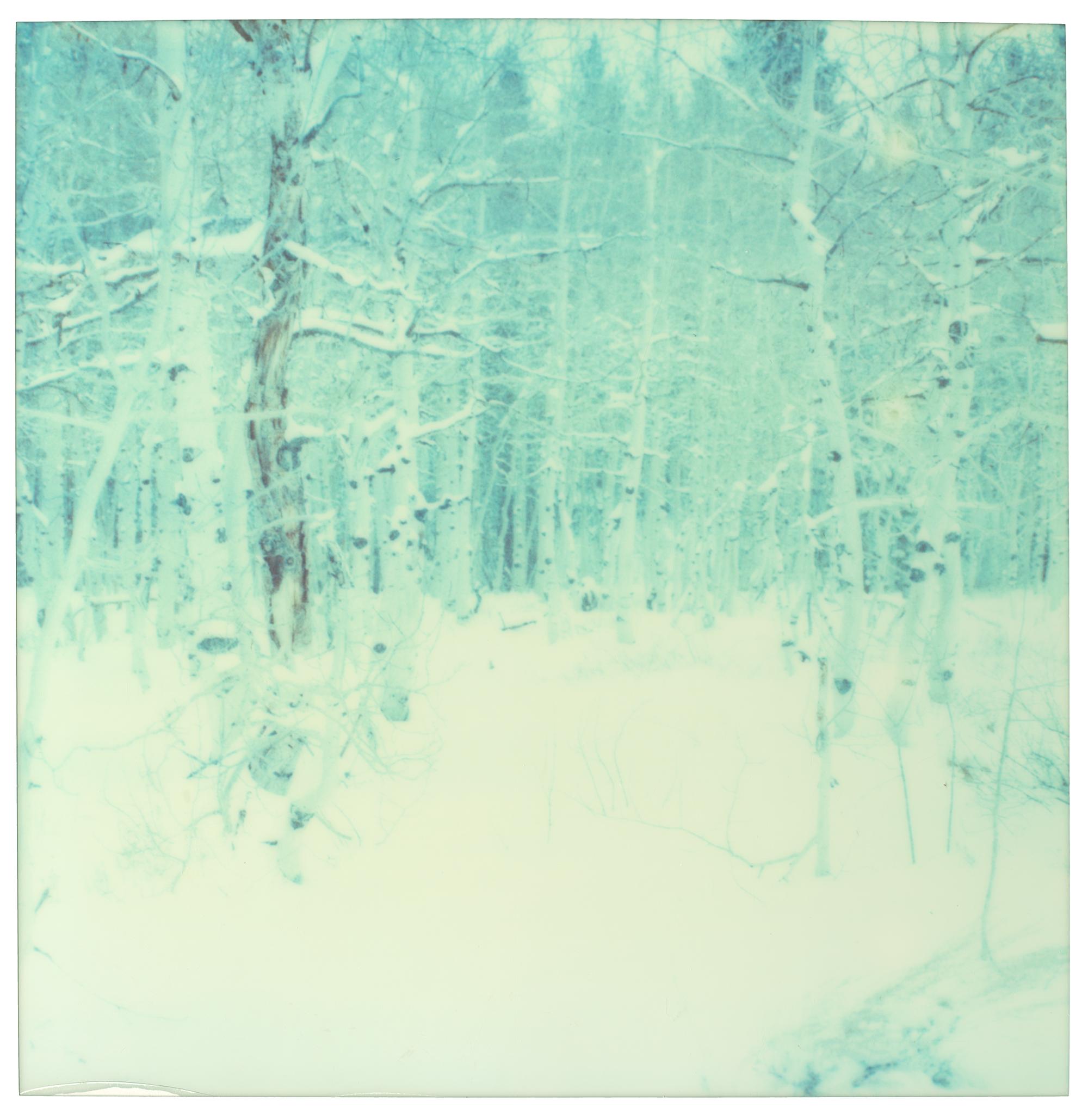 Color Photograph de Stefanie Schneider - Winter (Wastelands) - Contemporáneo, Paisaje, Polaroid, Analógico, Siglo XXI