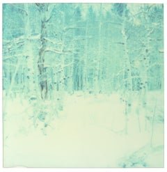 A Winter (Wastelands) - Contemporain, Paysage, Polaroïd, Analogique, 21ème siècle