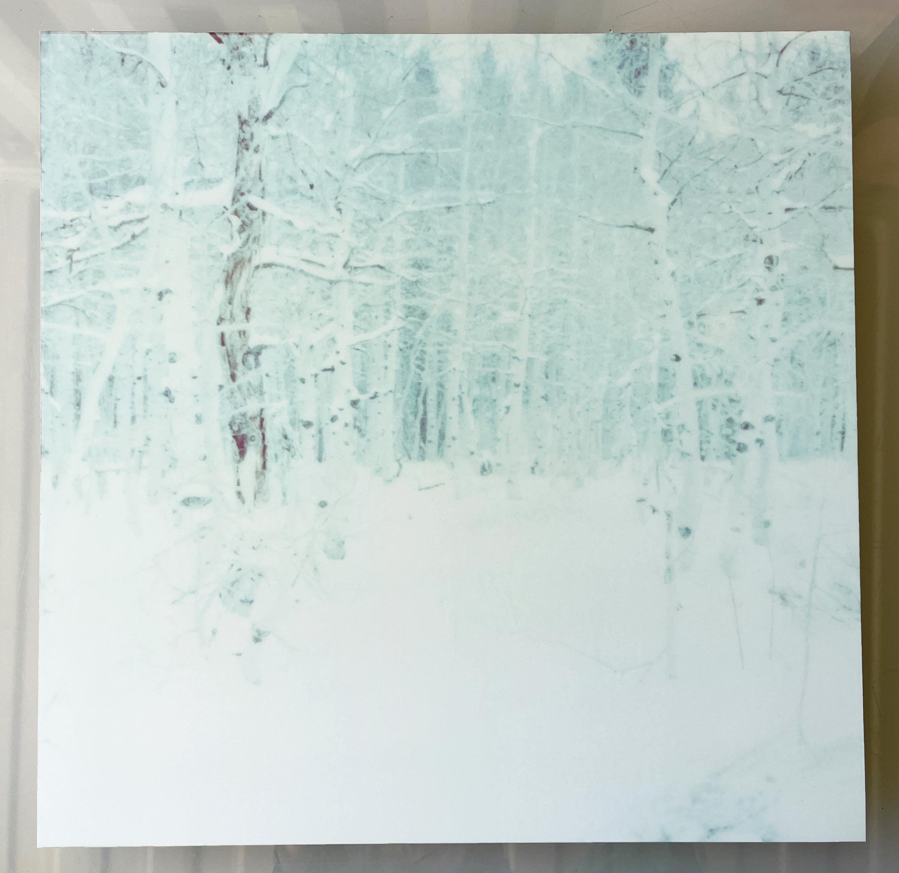 Winter (Wastelands) - Contemporary, Landscape, Polaroid - analog, mounted For Sale 6