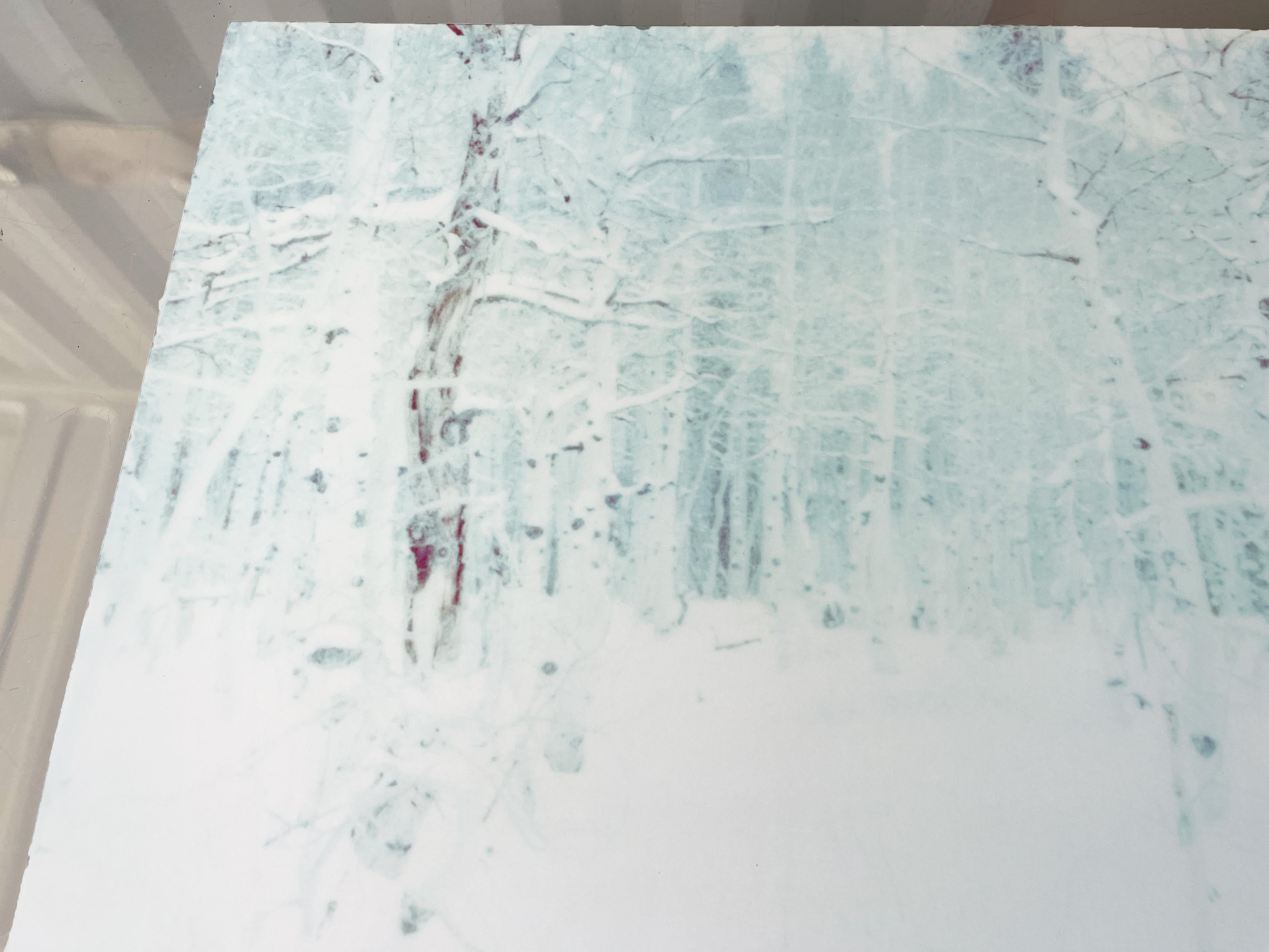 Winter (Wastelands) - Contemporary, Landscape, Polaroid - analog, mounted - Gray Landscape Photograph by Stefanie Schneider