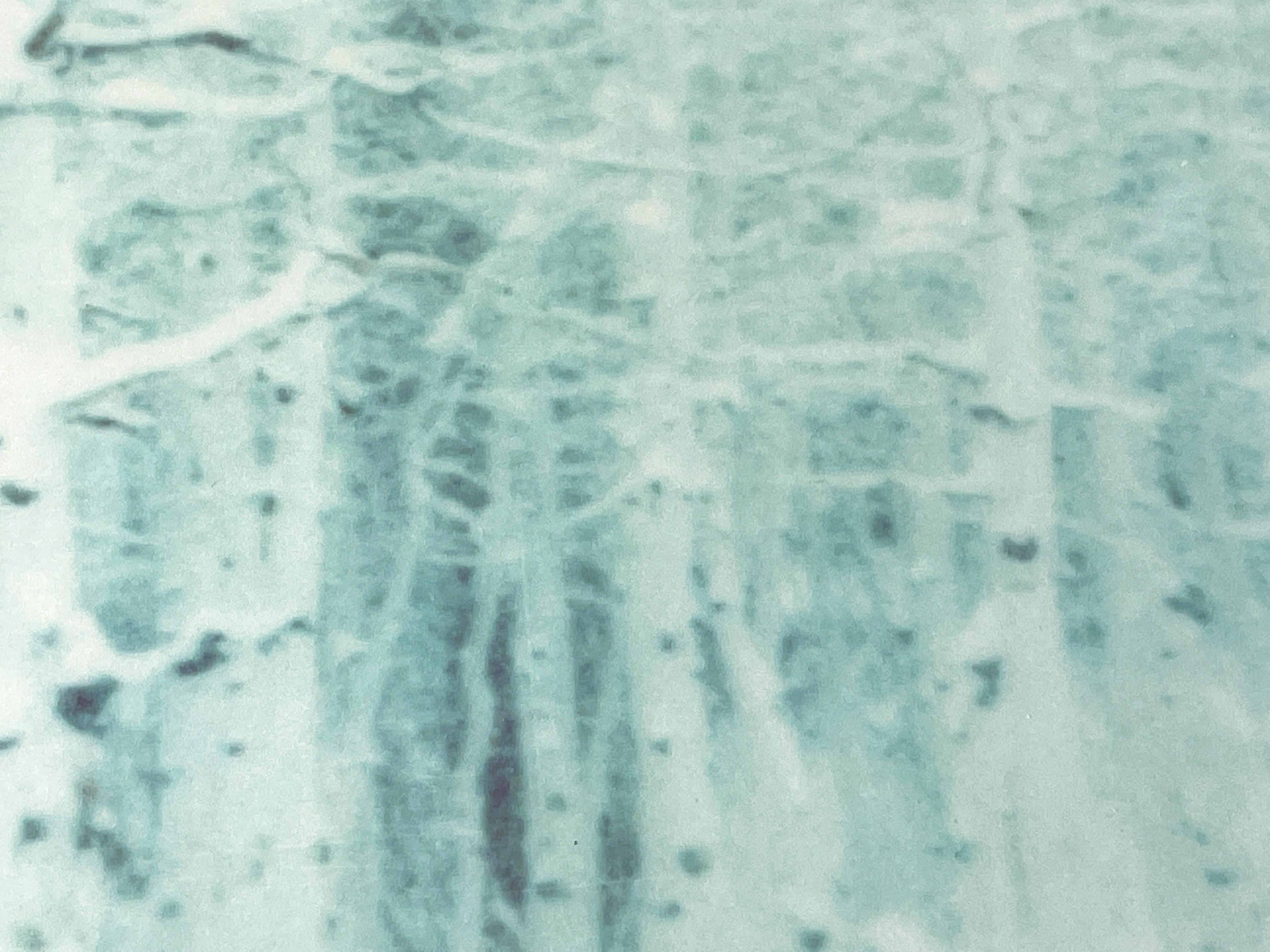 Winter (Wastelands) - Contemporary, Landscape, Polaroid - analog, mounted For Sale 3
