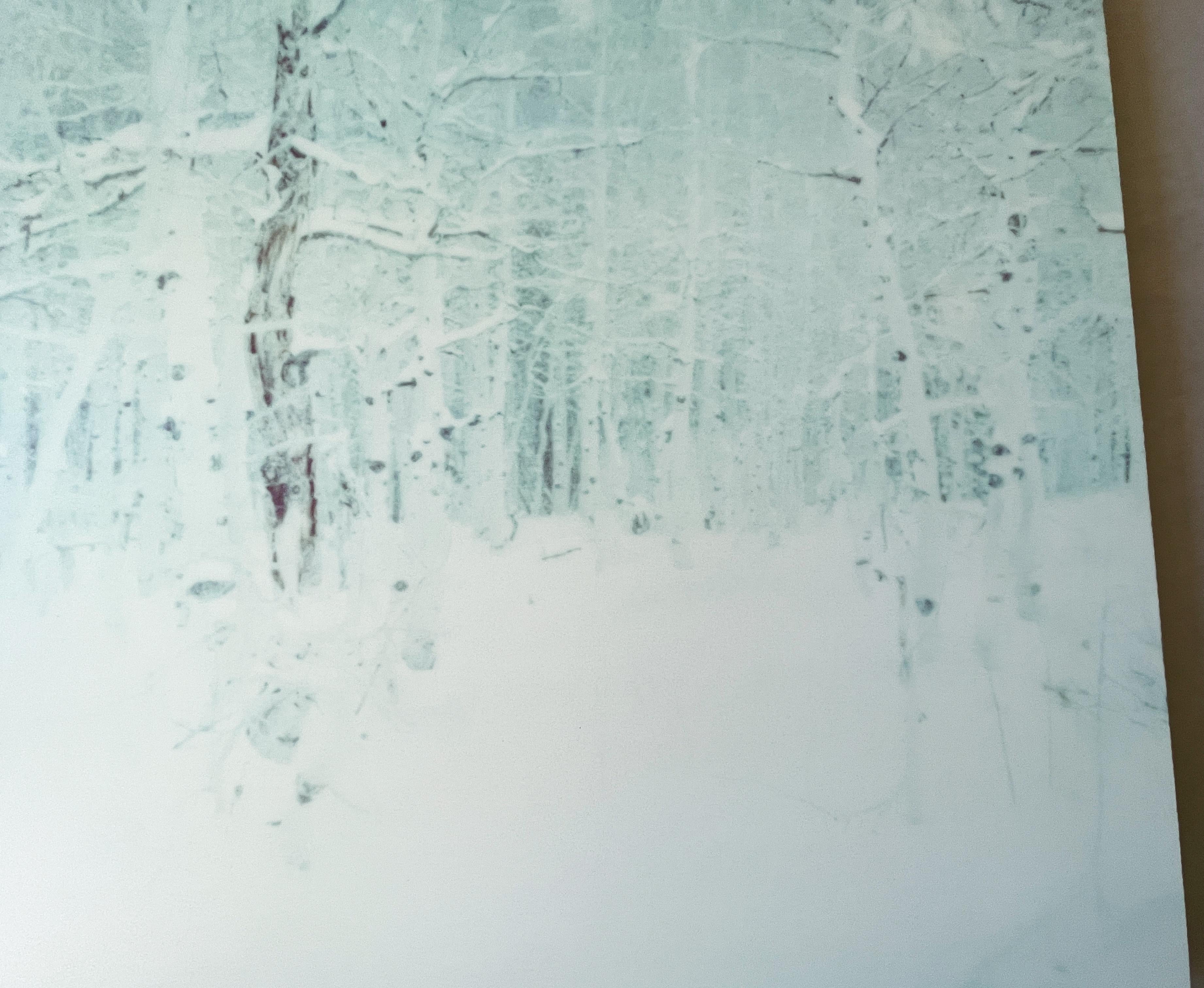 Winter (Wastelands) – Zeitgenössisch, Landschaft, Polaroid – analog, montiert im Angebot 5