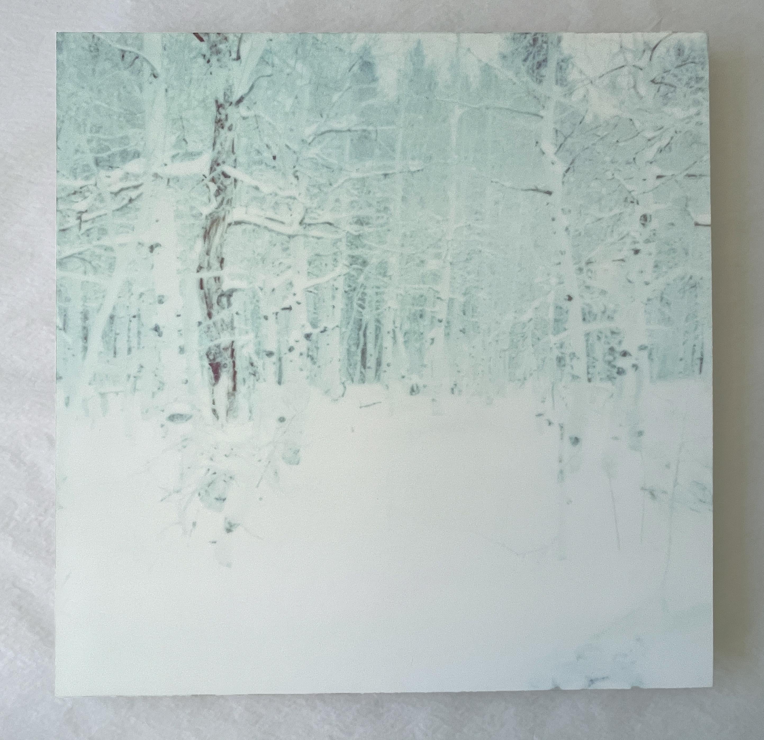 Stefanie Schneider Landscape Photograph – Winter (Wastelands) – Zeitgenössisch, Landschaft, Polaroid – analog, montiert