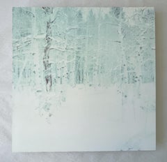 Winter (Wastelands) – Zeitgenössisch, Landschaft, Polaroid – analog, montiert
