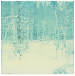 Winter (Wastelands)