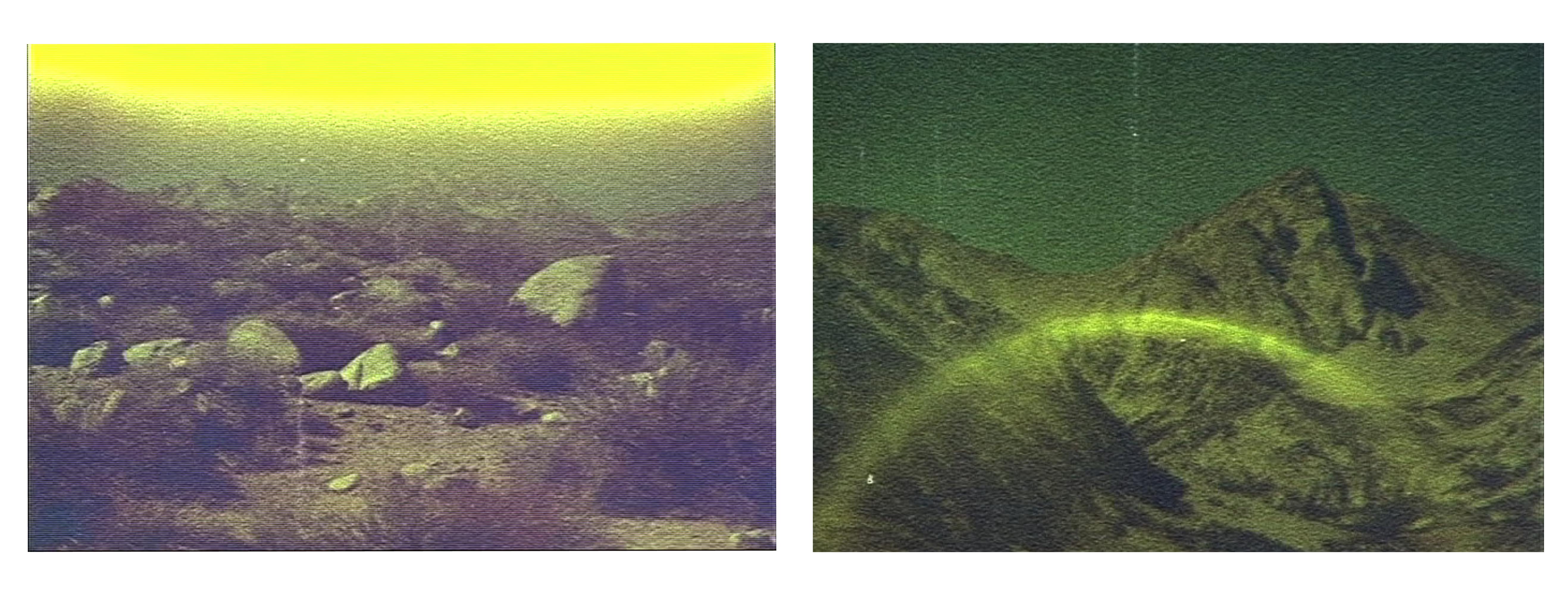 Portrait Photograph Stefanie Schneider - Wonder Valley (Sidewinder) - super 8, analogique