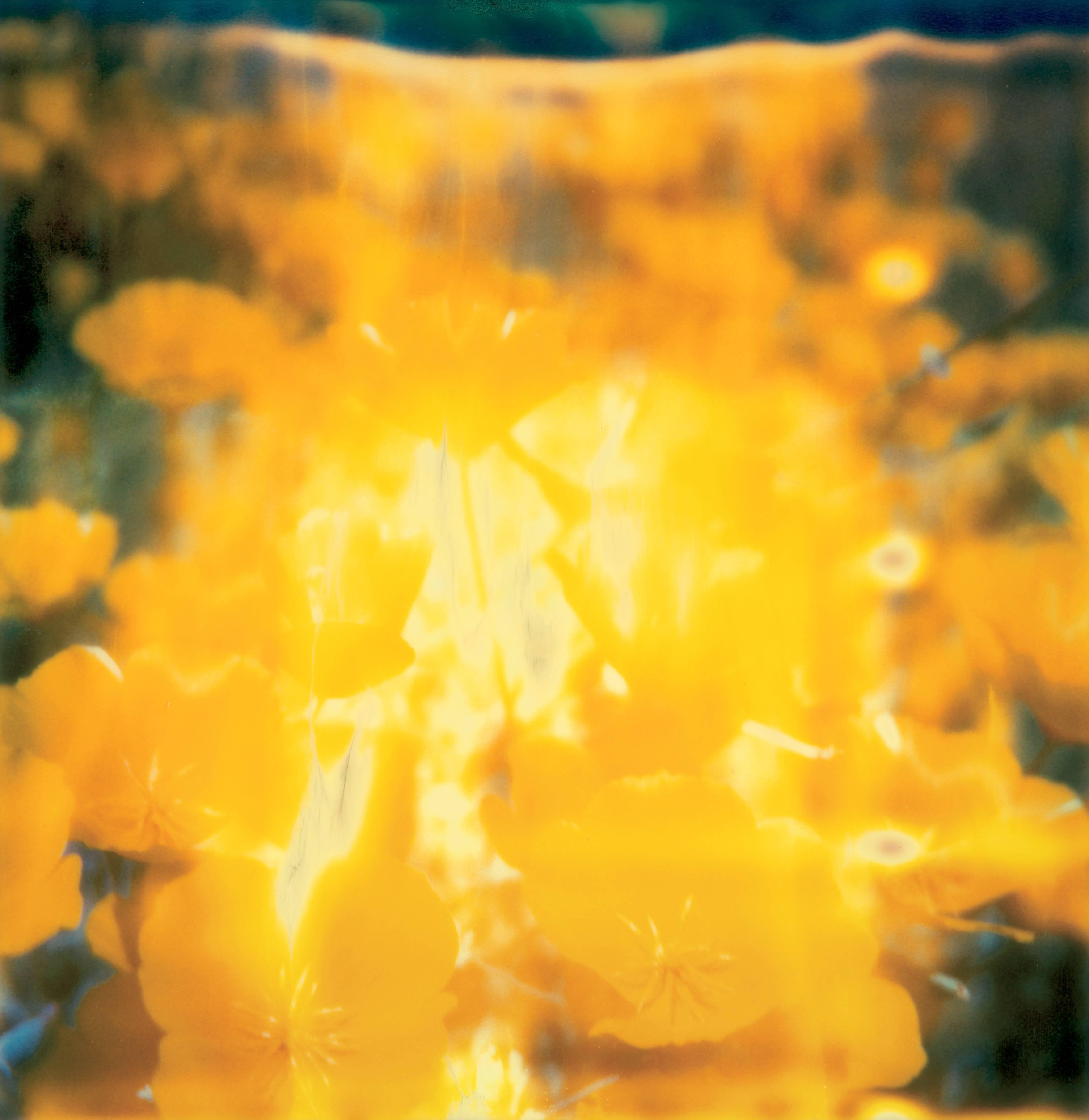 Stefanie Schneider Color Photograph - Yellow flower - Contemporary, Abstract, Landscape, USA, Polaroid, 21st Century, 