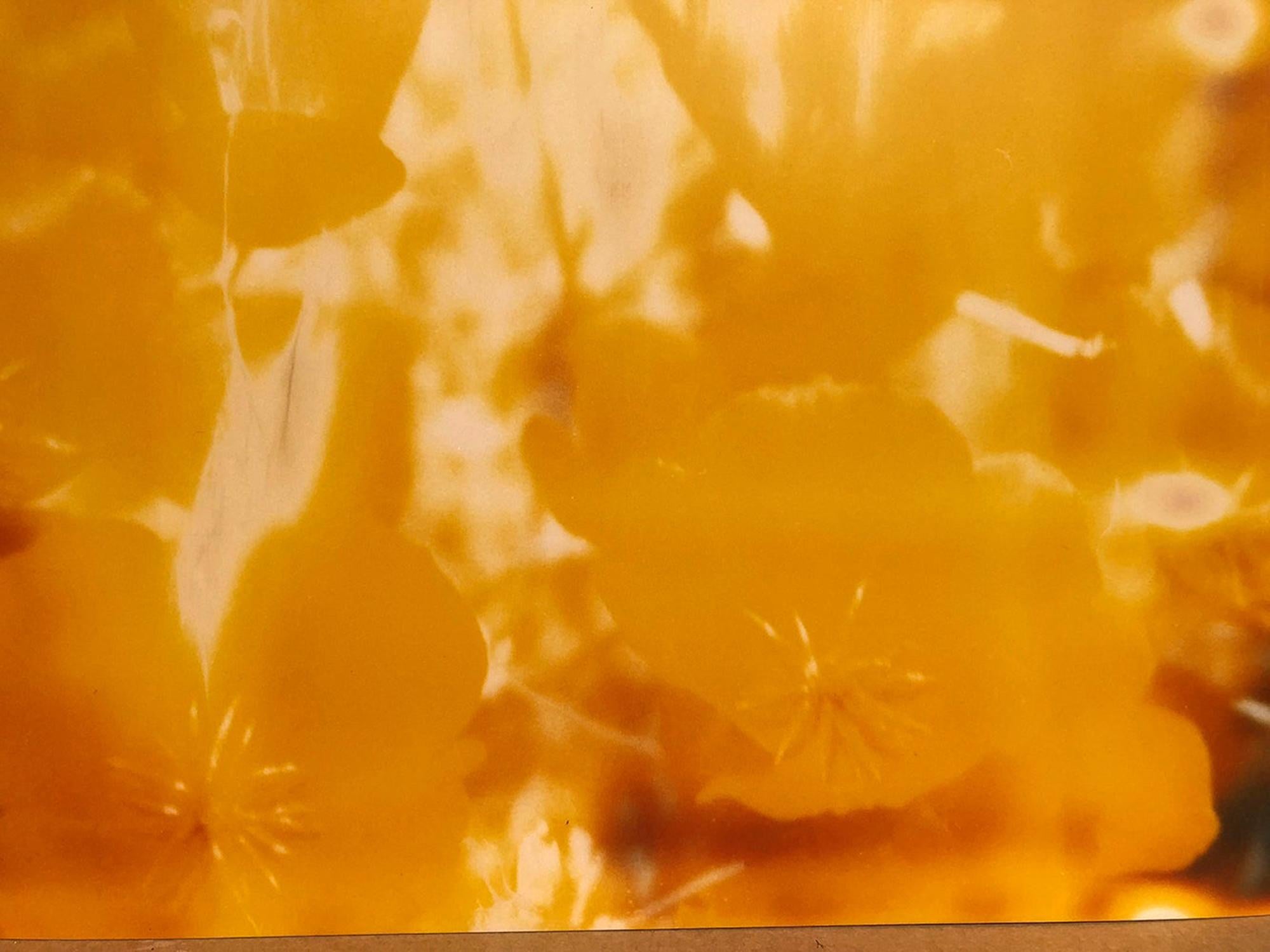 Yellow Flower - Contemporary, Polaroid, Expired, Photograph, Abstract, Close-up 3
