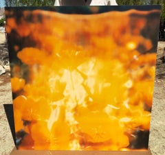 Yellow Flower  - The Last Picture Show, analog, 128x126cm, mounted