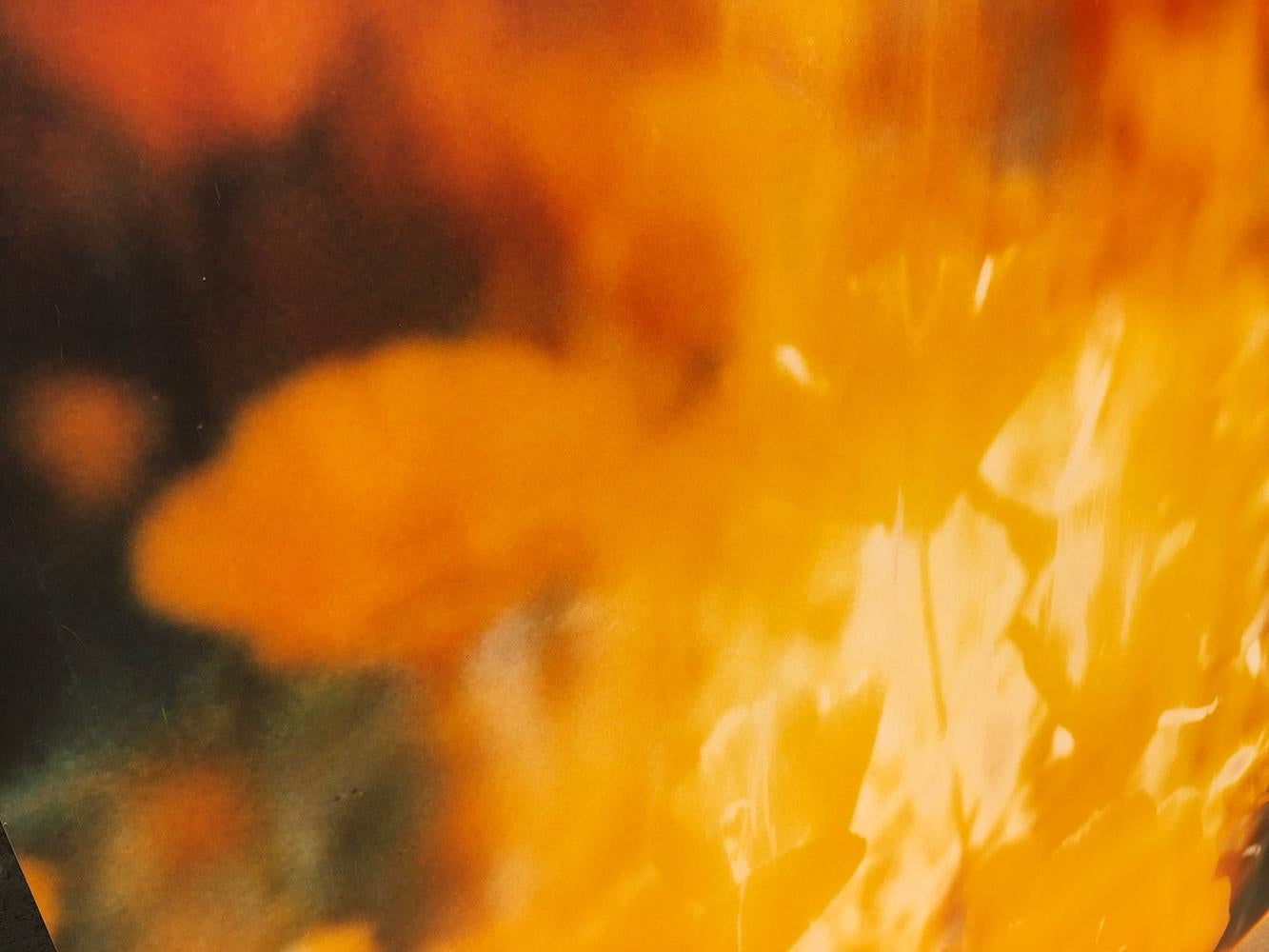 Yellow Flower (The Last Picture Show) Polaroid, 128x126cm, analog vintage print - Contemporary Photograph by Stefanie Schneider
