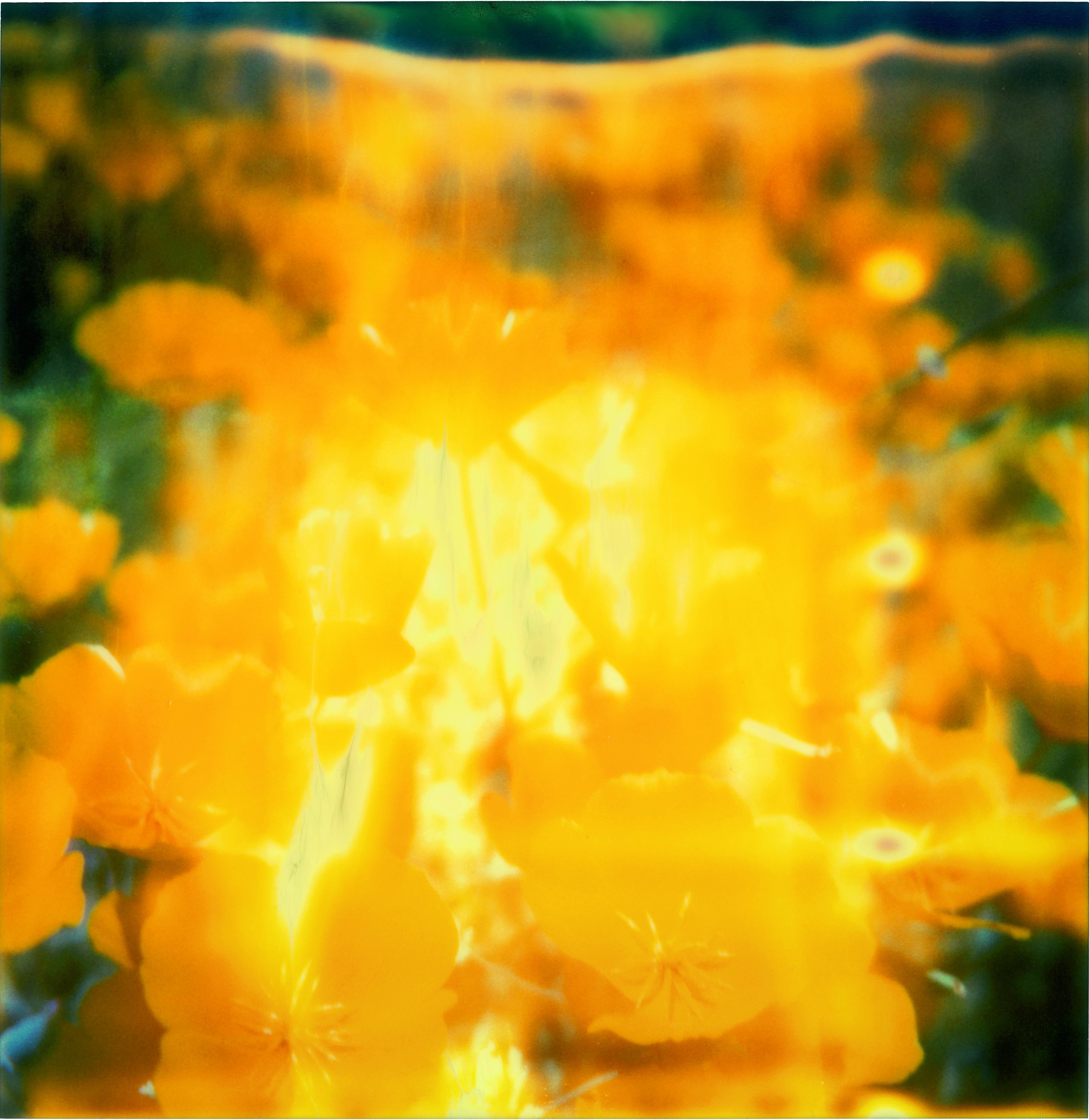 Stefanie Schneider Abstract Photograph – Gelbe Blume (Die letzte Bilderschau) Polaroid, 128x126cm, analoger Vintage-Druck