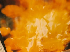 Yellow Flower (The Last Picture Show) Polaroid, 128x126cm, analog vintage print