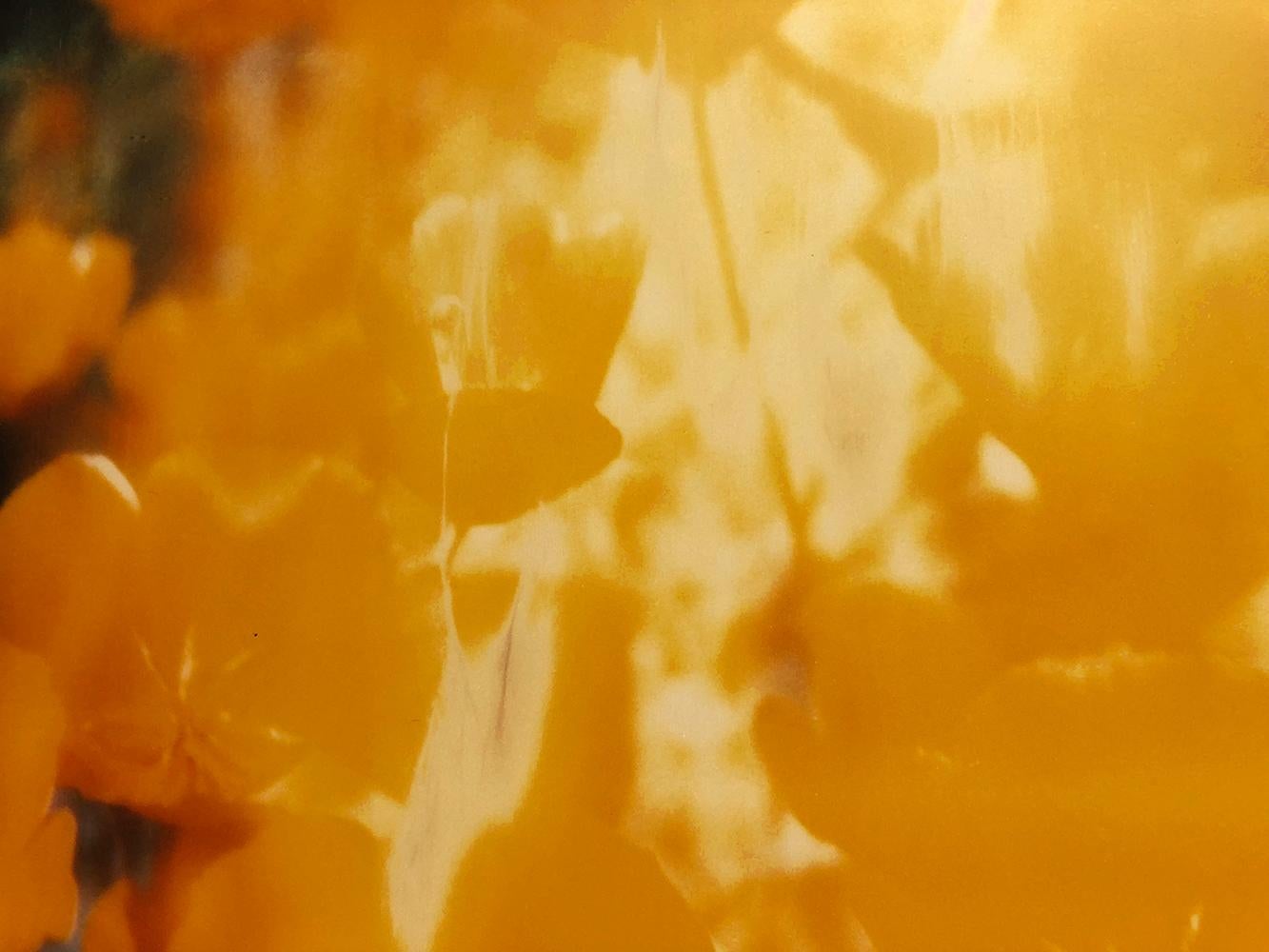 Gelbe Blume (Die letzte Bilderschau) Polaroid, 128x126cm, analoger Vintage-Druck im Angebot 1