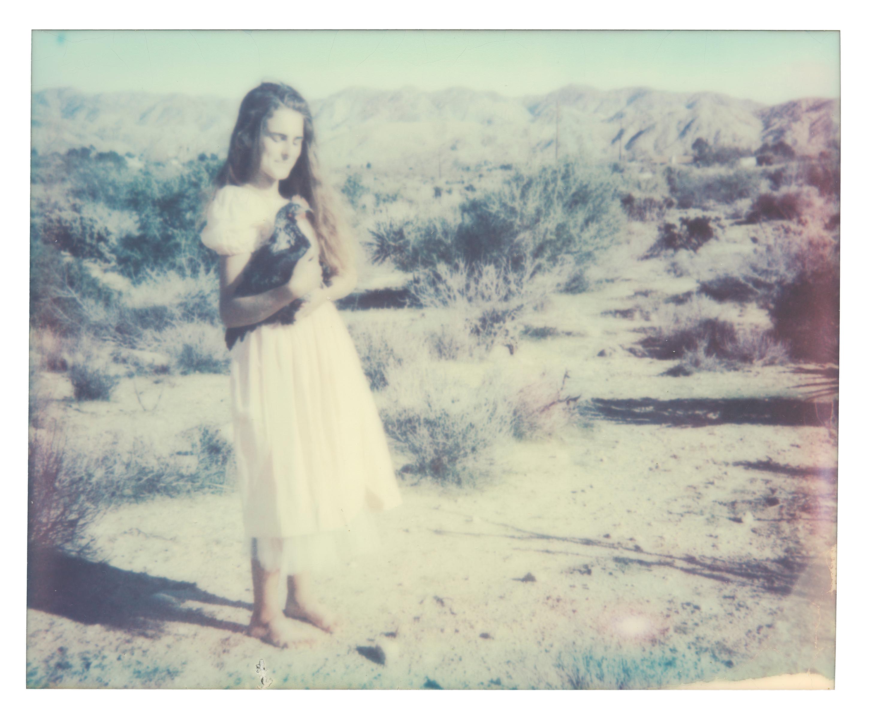 Color Photograph de Stefanie Schneider - Joven Duque (Pollitos y Pollitas)