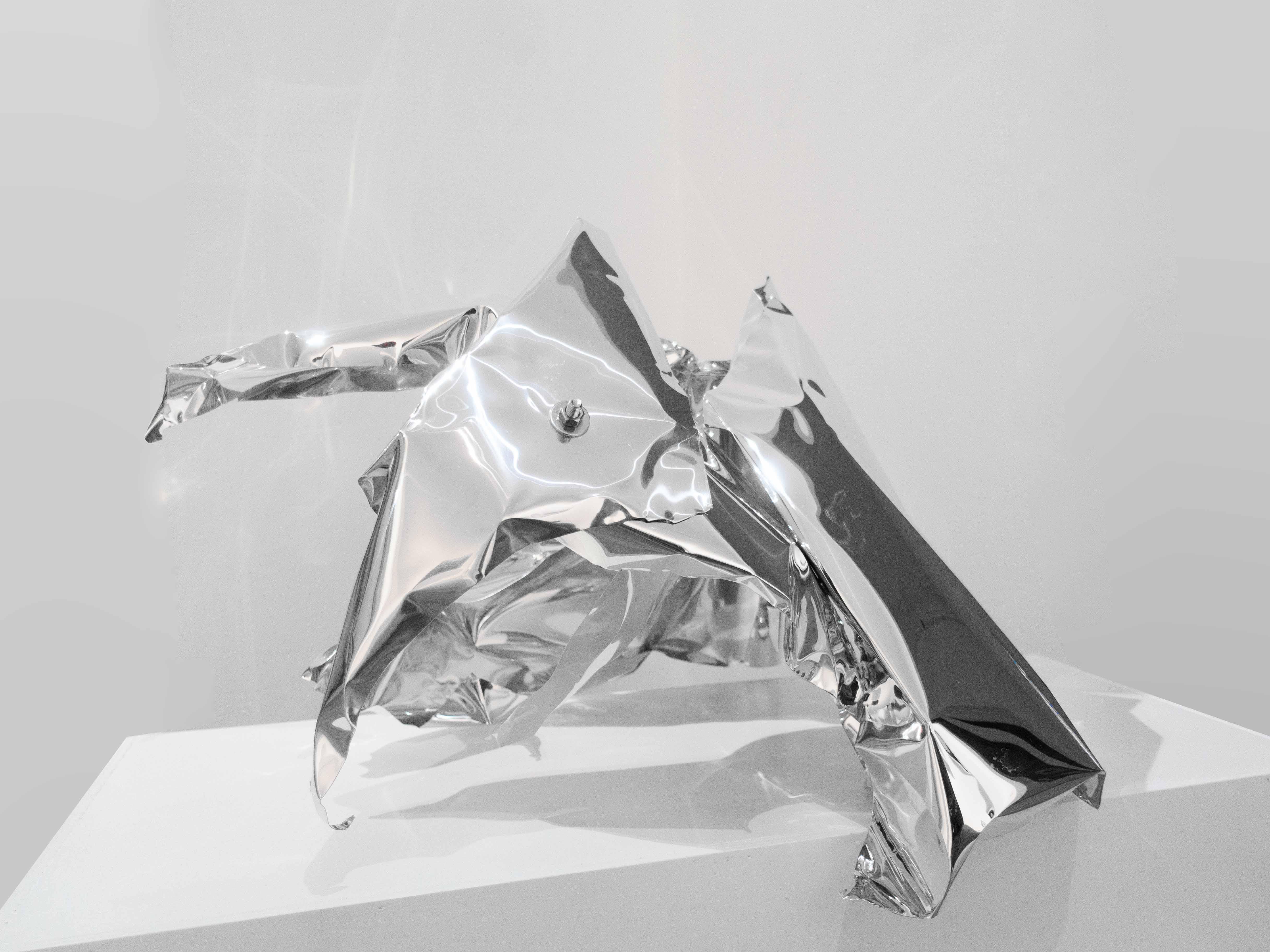 Stefano Cagol Abstract Sculpture - The Bouvet Island, Steel, Mirror, Environmental Art