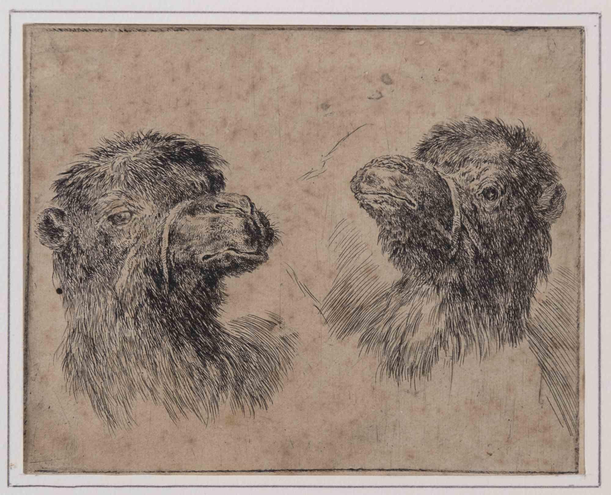 Étude camel - eau-forte de Stefano Della Bella - années 1640 en vente 1