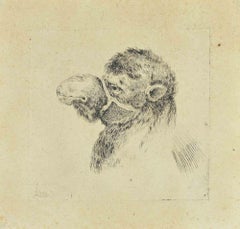 Incisione di stampe di animali