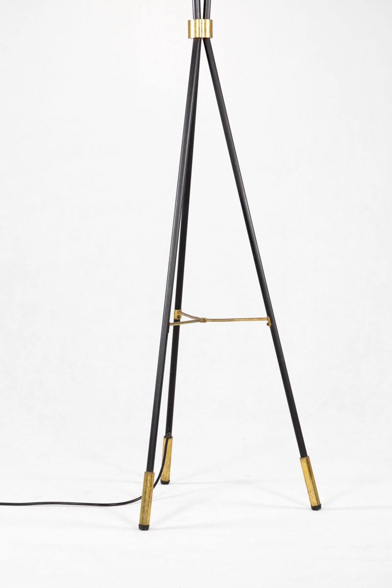 Stehleuchte, Entwurf Und Herstellung Durch Stilnovo, Italien, 1950s, JahreFloor For Sale 4