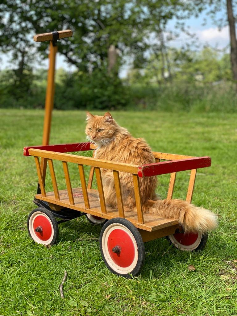 Steiff 1950's Children's Wooden Wagon Handcart, Germany For Sale 8