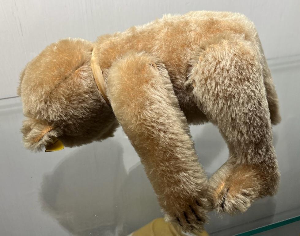 Oso Steiff Adirondack en venta