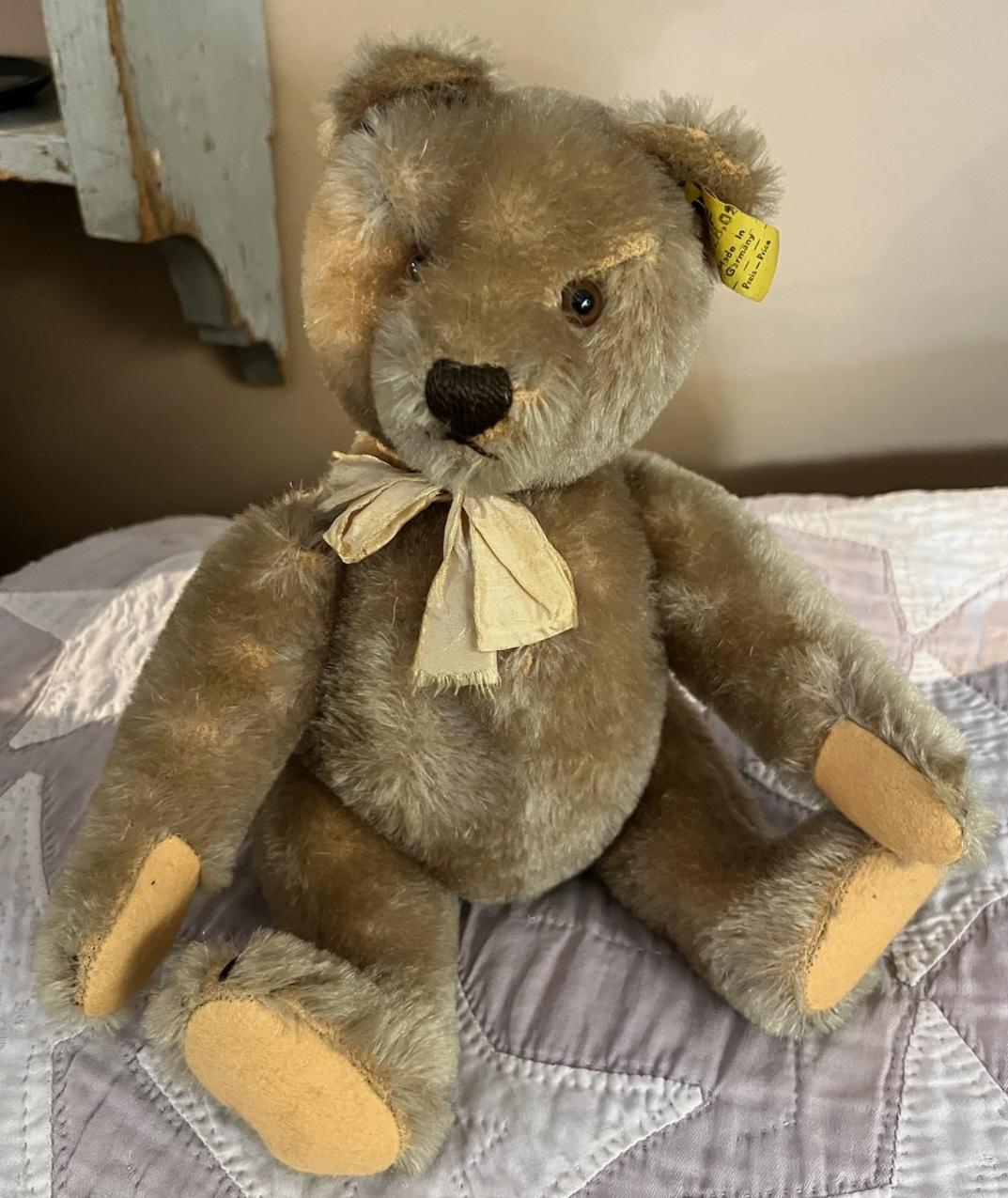 Oso Steiff Estadounidense en venta