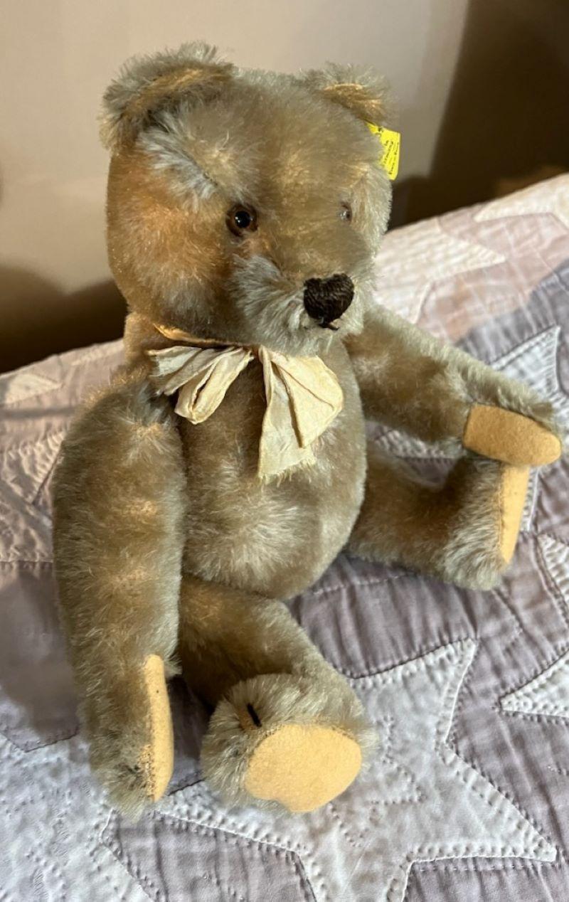 Oso Steiff mediados del siglo XX en venta