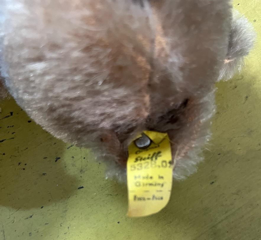 Oso Steiff Algodón en venta