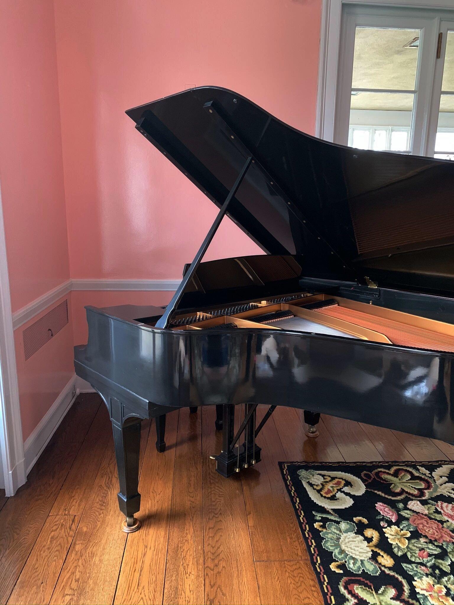 rug under grand piano