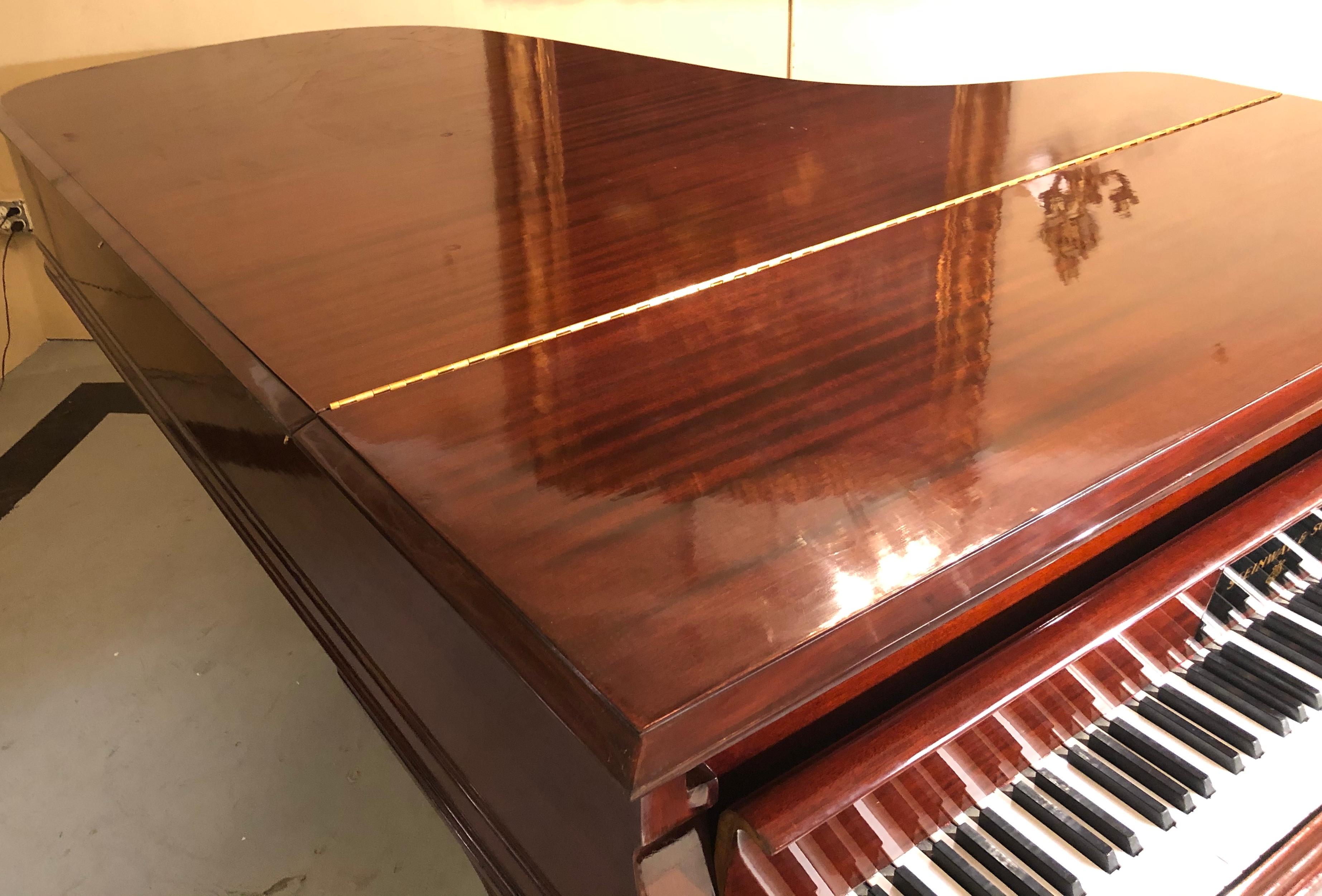 Steinway Model B Classic Grand Piano 1901 in a Refinished Mahogany Case 6