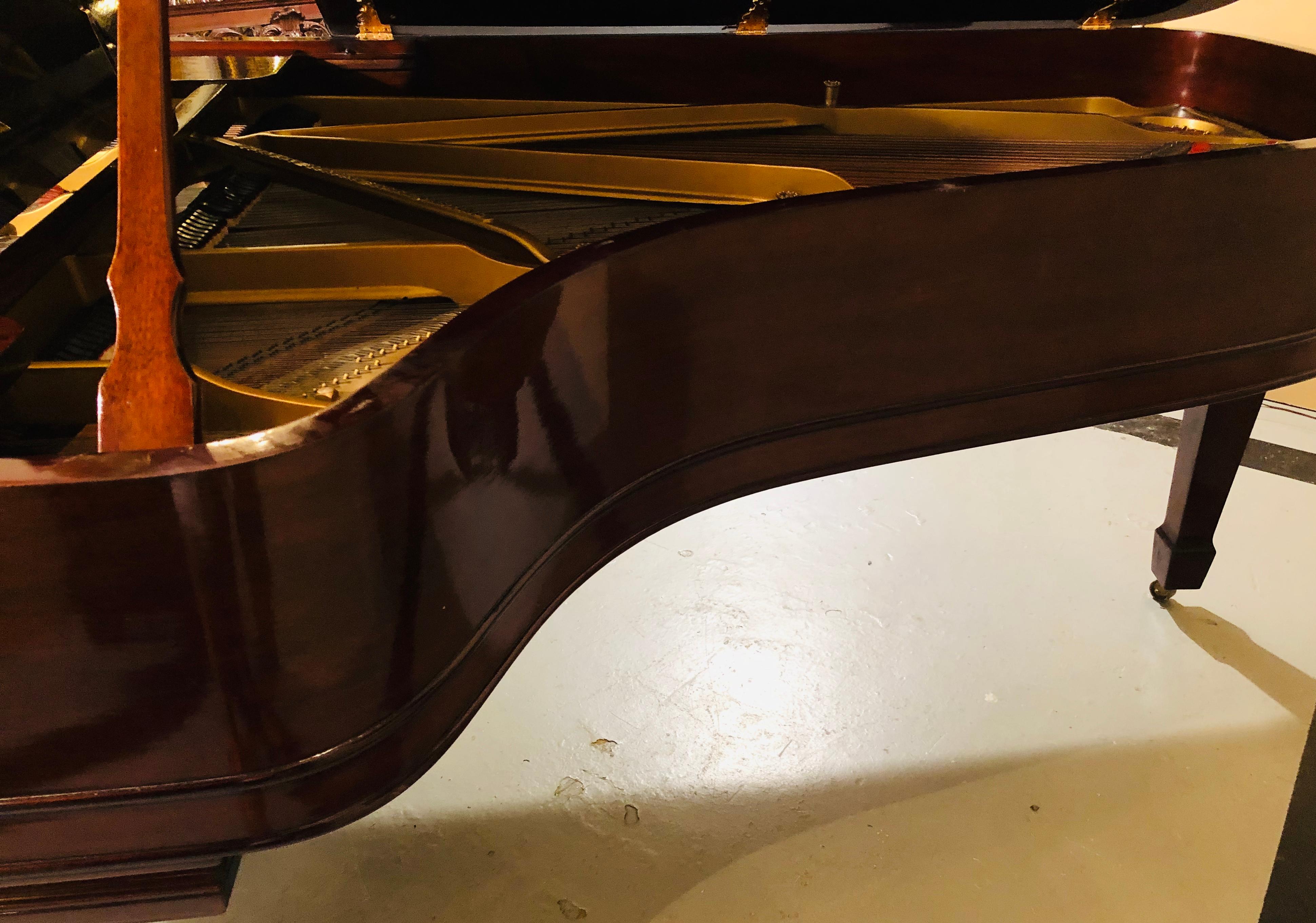 Louis XV Steinway Model B Classic Grand Piano 1901 in a Refinished Mahogany Case