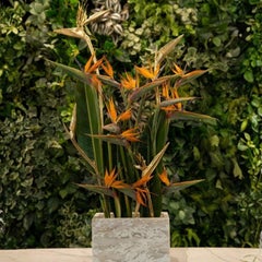 Stella IV – Decorative Biophilic Sculpture Vase for Elegant Entry Spaces