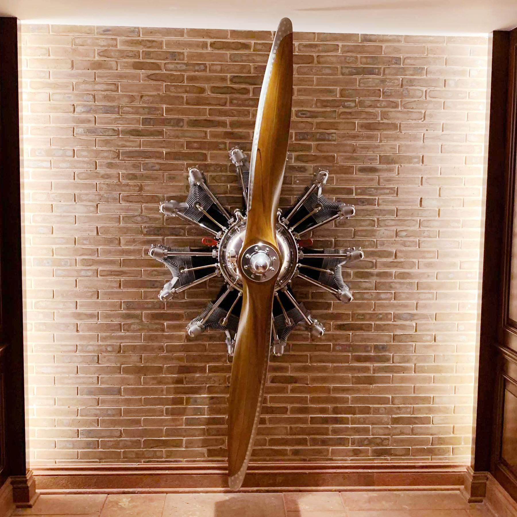 Wall decoration stellar aircraft engine with propeller
with Jacobs aircraft engine. From Italy. Handcrafted 
chrome engine, exceptional art work on aircraft engine.
Exceptional piece.
  