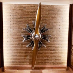 Stellar Aircraft Engine with Propeller Wall Decoration