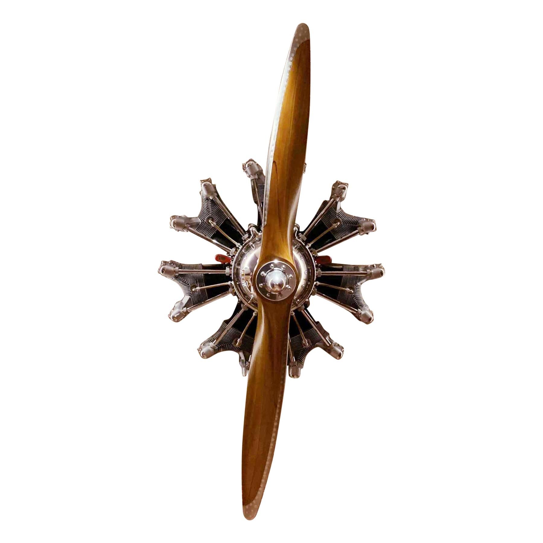 Stellar Aircraft Engine with Propeller Wall Decoration