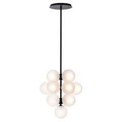 Stellar Grape Pendant Big Transparent Acetato Black by Pulpo