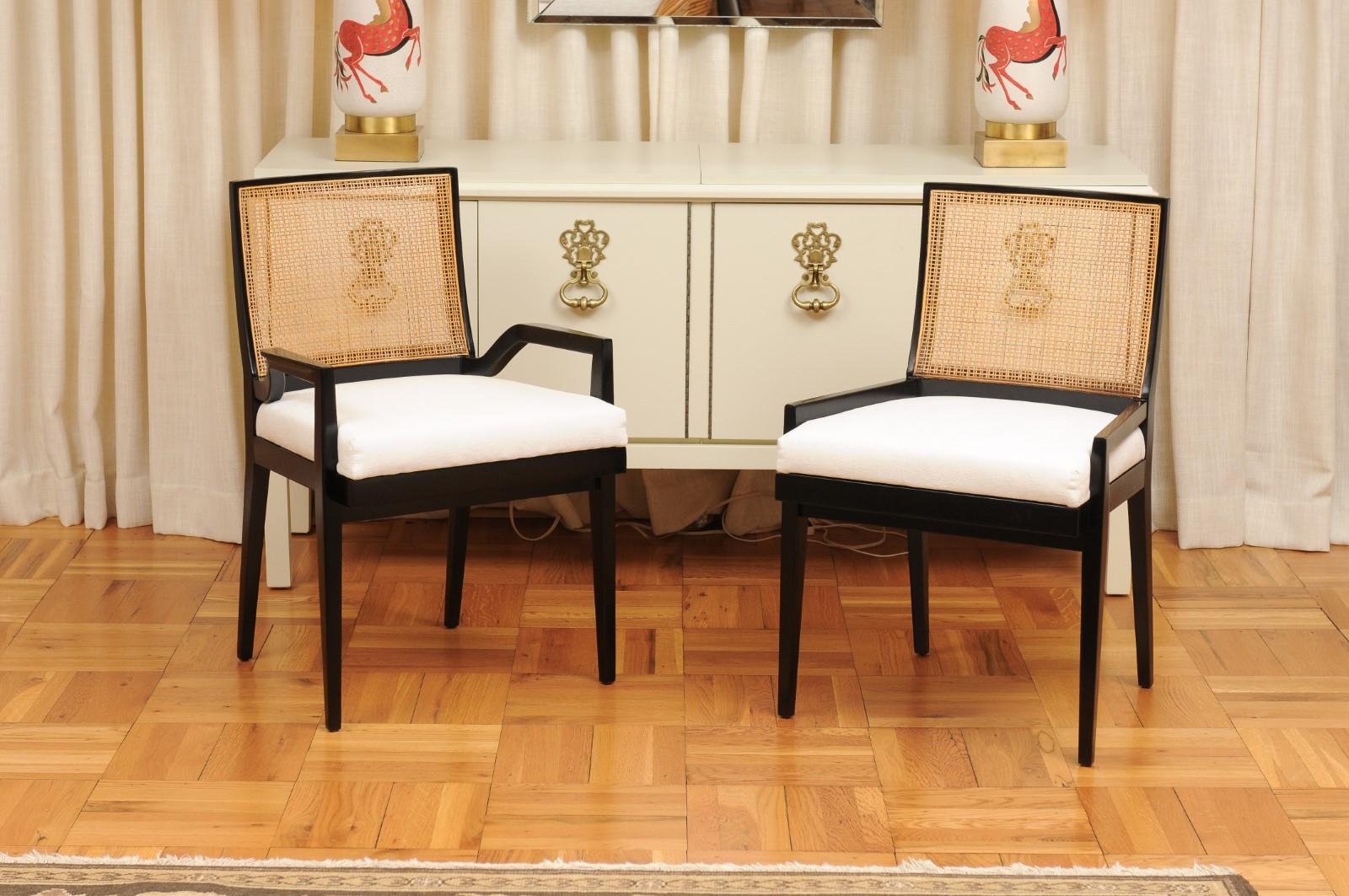 Stellar Set of 14 Black Lacquer Cane Chairs by Michael Taylor, circa 1960 For Sale 12