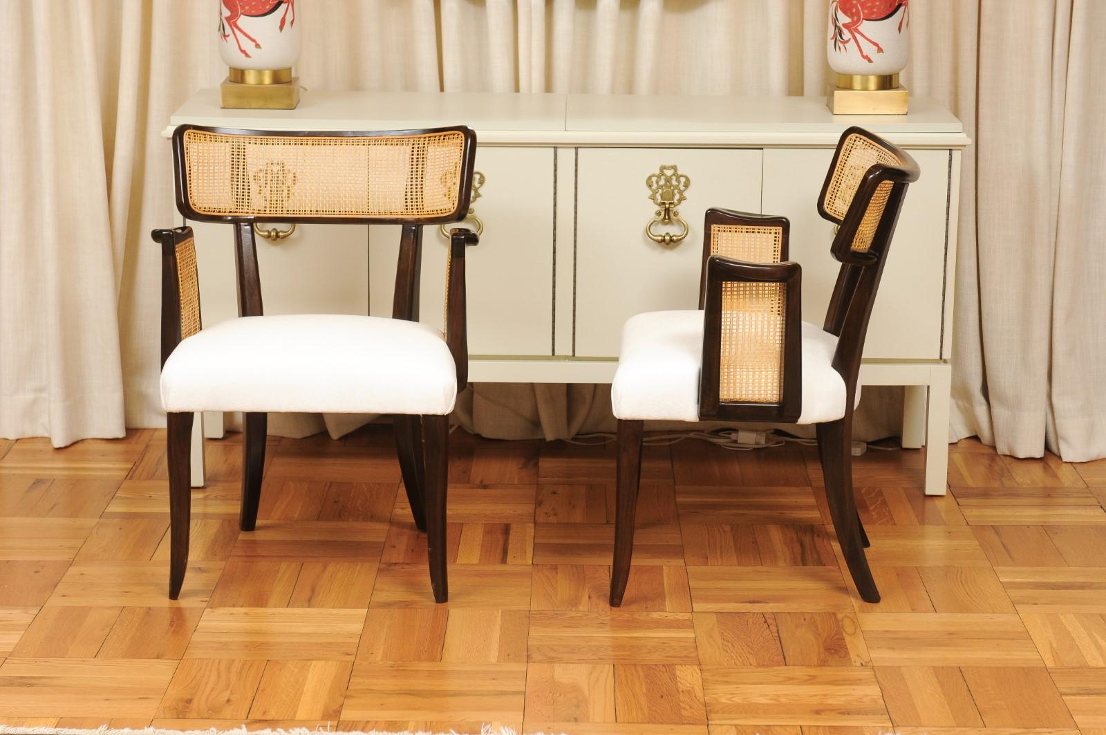 Stellar-Set aus 8 modernen Esszimmerstühlen mit Rohrarm von Wormley für Dunbar im Angebot 5
