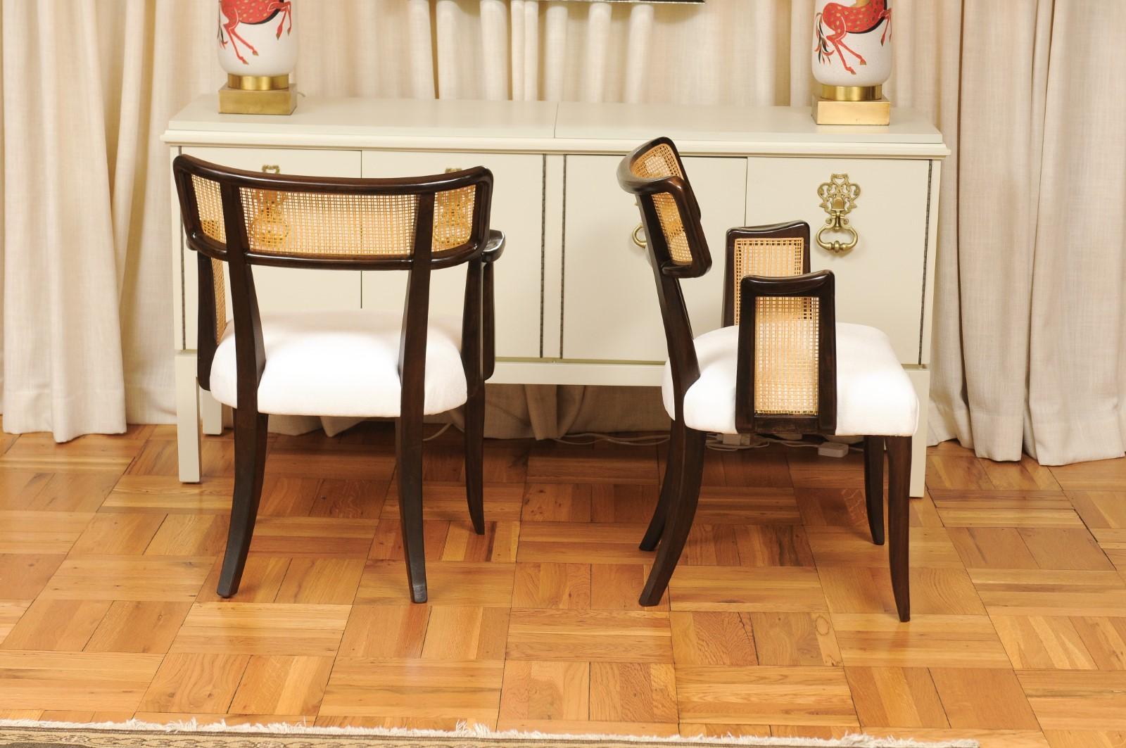 Stellar-Set aus 8 modernen Esszimmerstühlen mit Rohrarm von Wormley für Dunbar im Angebot 2