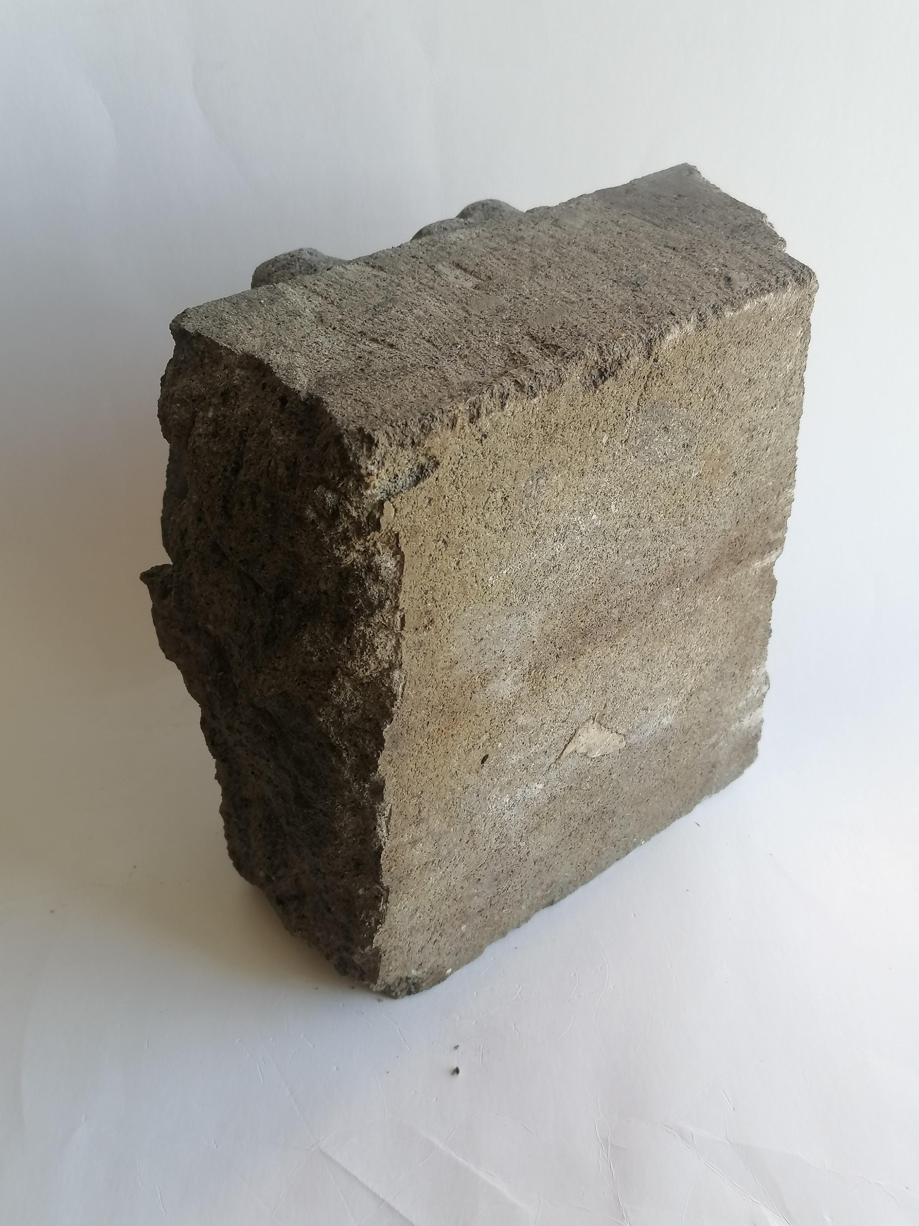 Pierre Stemma in pietra vulcanica scolpito a mano-frammento - made in Italy en vente