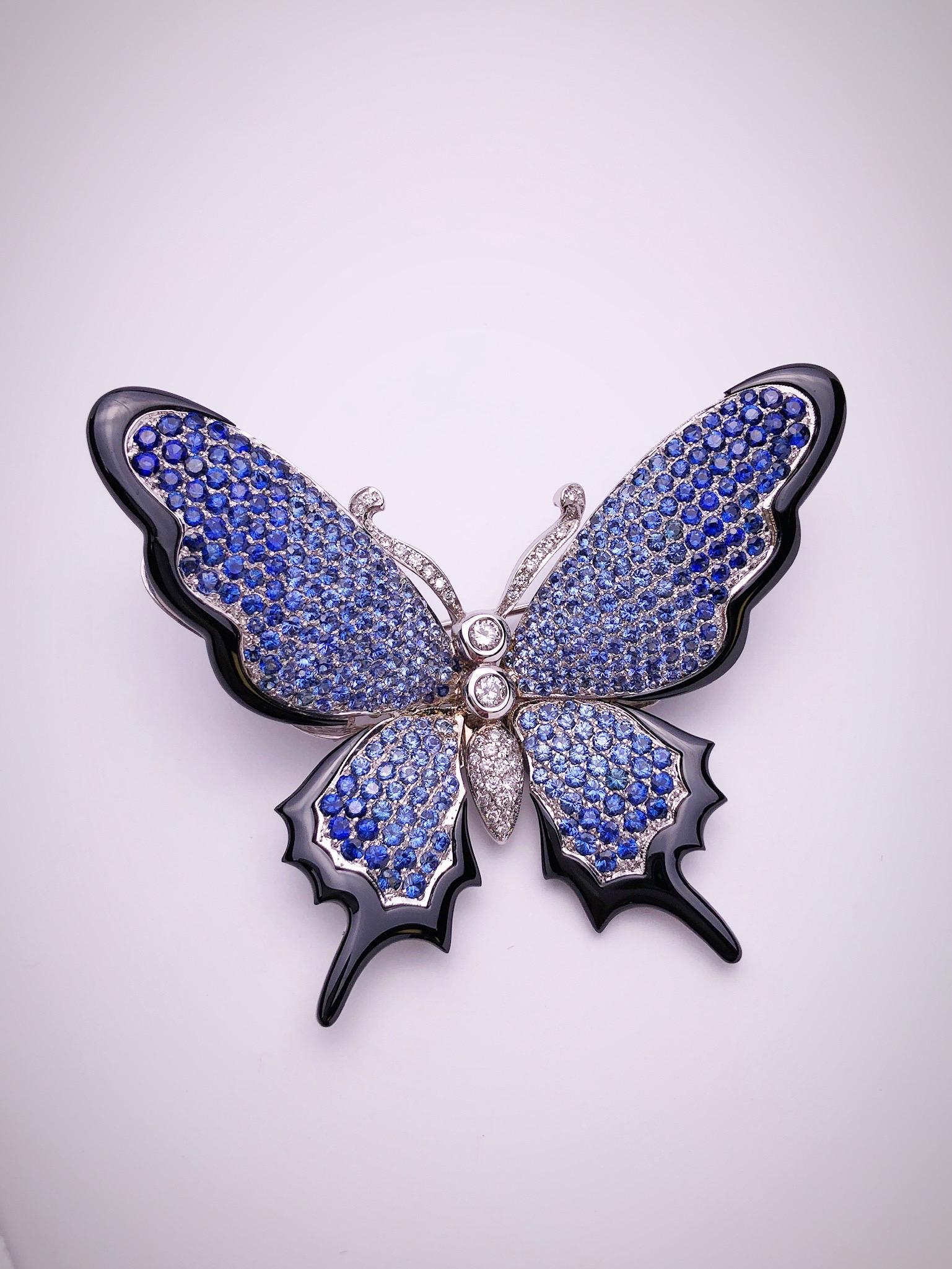 butterfly sapphire