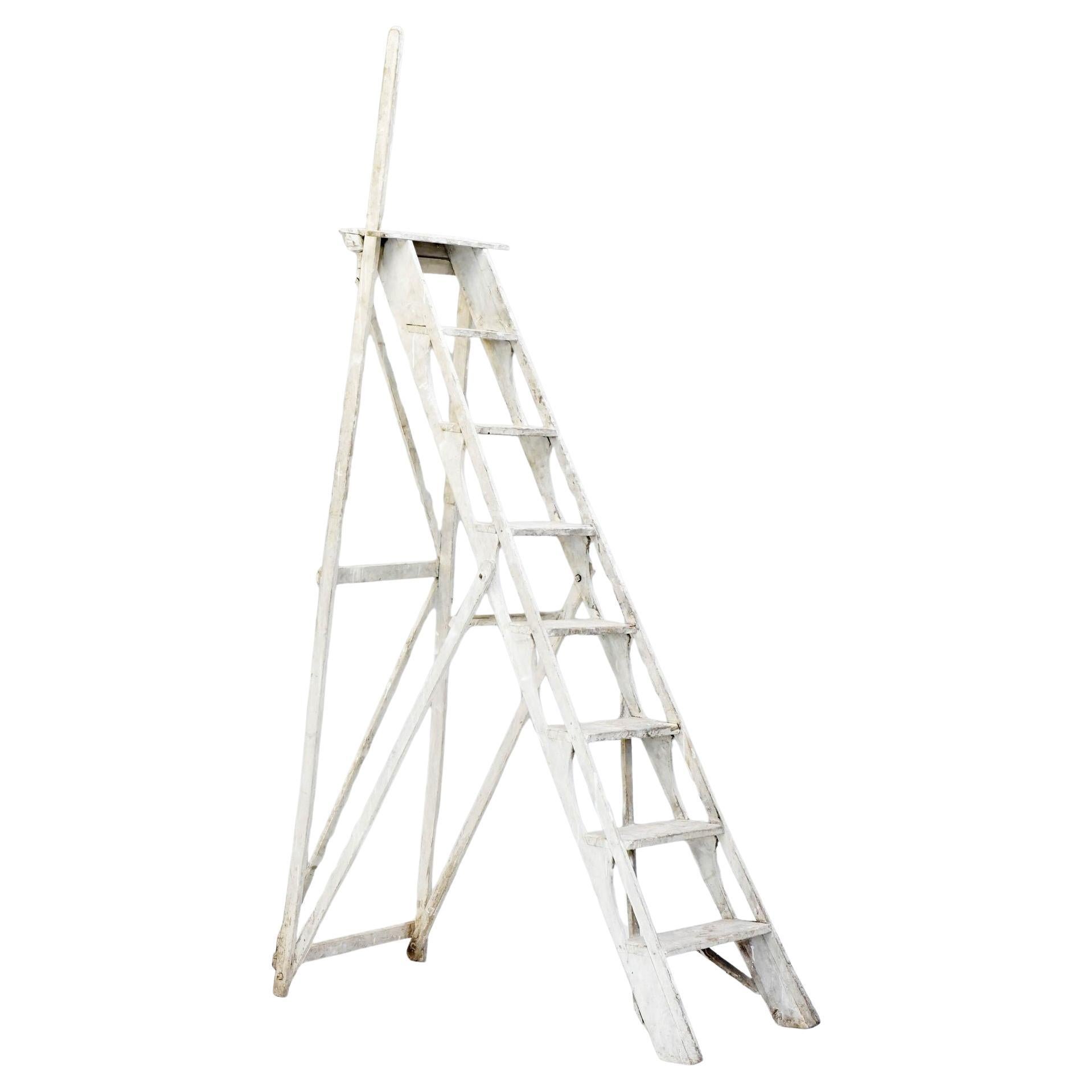 Step Ladders